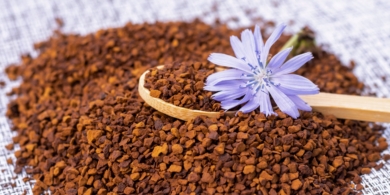 Что такое цикорий и можно ли им заменить кофе