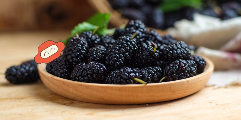 Что такое шелковица и как её есть