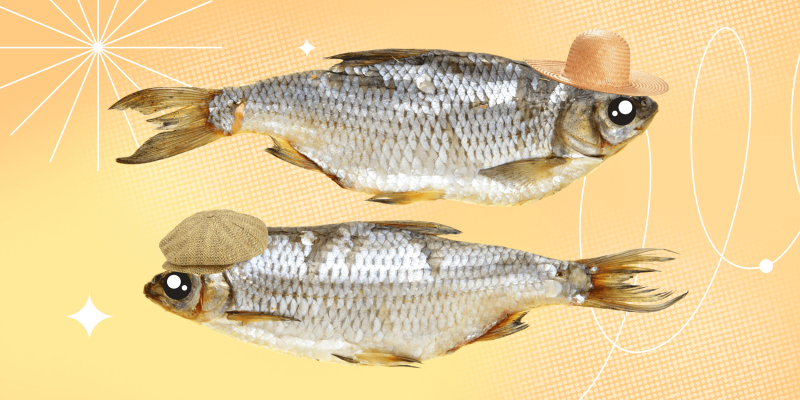 Как сушить рыбу в домашних условиях